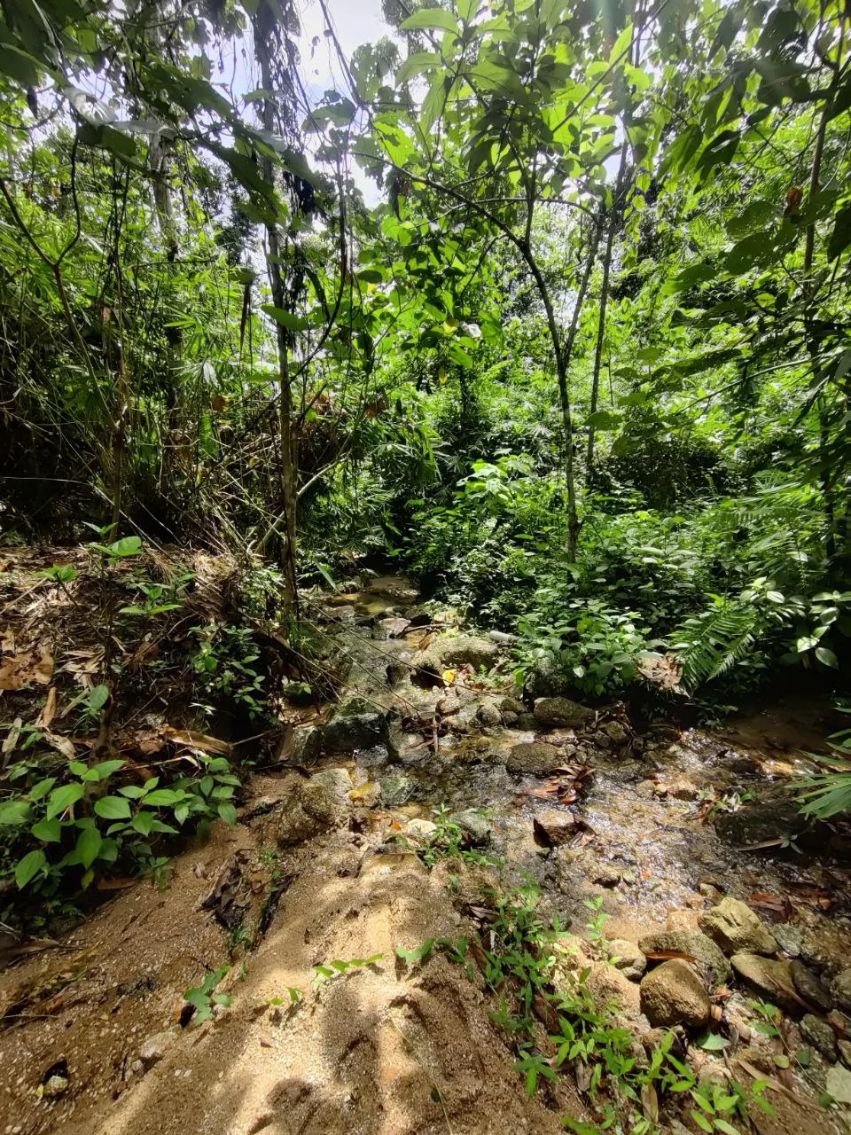 Ada sumber air di dalam kawasan tanah dusun.